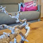 Almtraum