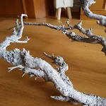 Lejlighed Almtraum