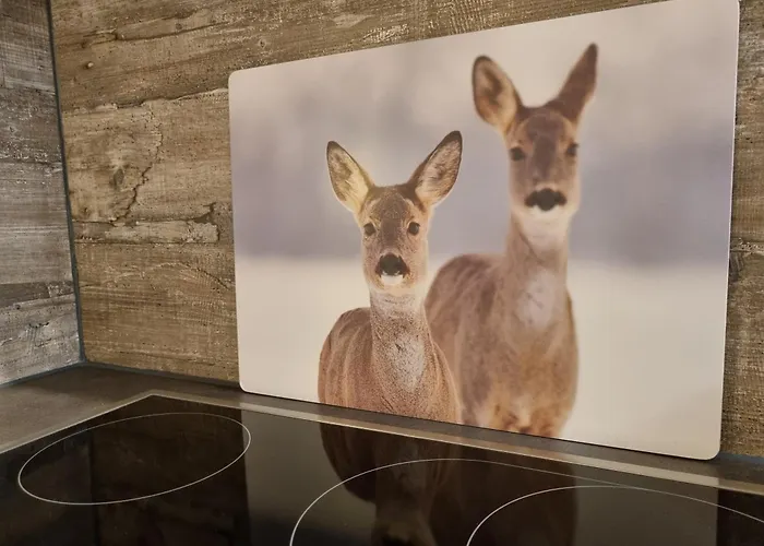 Almtraum Appartement