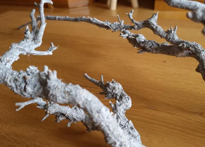 Appartement Almtraum